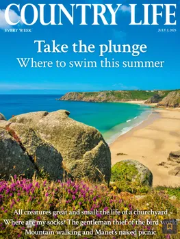 Screenshot 2025-10-16 at 22.23.42